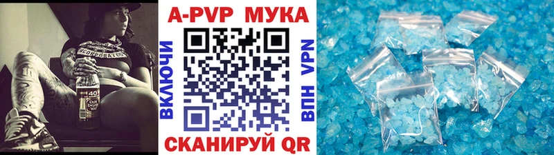 omg вход  Камышин  А ПВП СК КРИС 