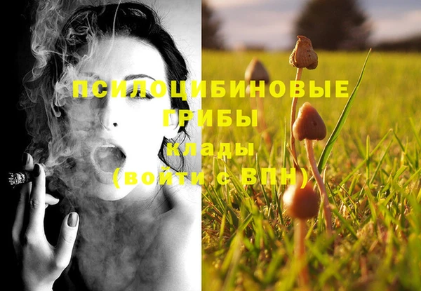 гашишное масло Михайловка