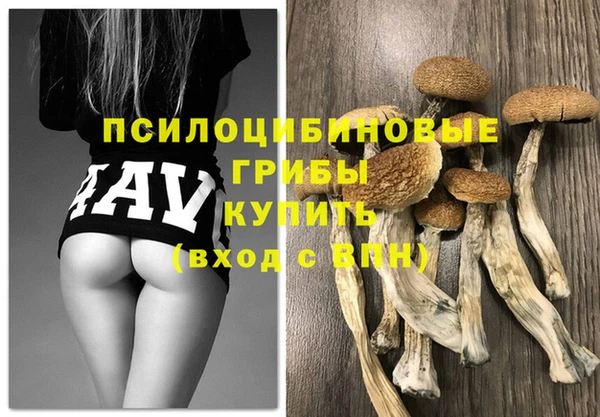 герыч Михайловск