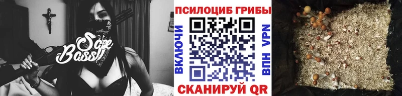 как найти наркотики  Камышин  Галлюциногенные грибы мухоморы 