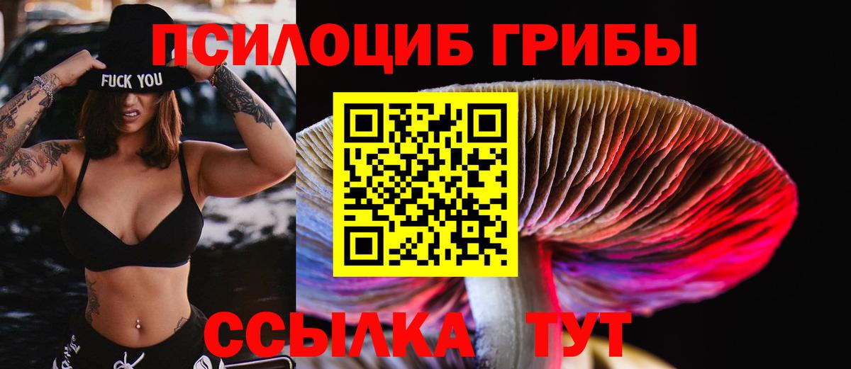 Камышин  Галлюциногенные грибы ЛСД  Вход с VPN 